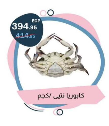 available at Flamingo Hyper Market in Egypt - Cairo