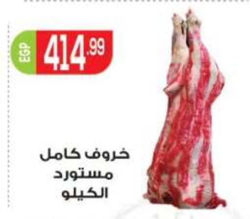 available at أولاد المحاوى in Egypt - القاهرة
