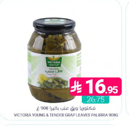 available at Muntazah Markets in KSA, Saudi Arabia, Saudi - Saihat