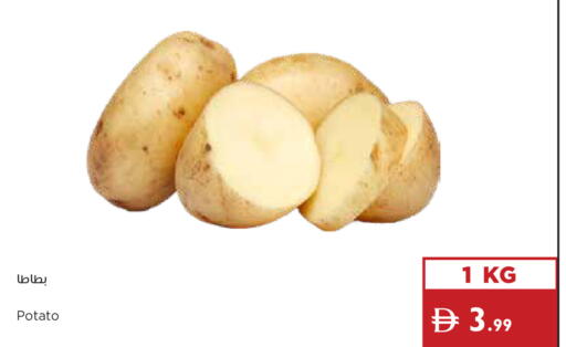 Potato available at إسطنبول سوبرماركت in الإمارات العربية المتحدة , الامارات - ٱلْعَيْن‎