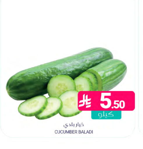 Cucumber available at Muntazah Markets in KSA, Saudi Arabia, Saudi - Saihat