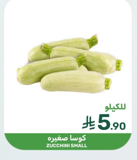 Zucchini available at  مـزايــا in مملكة العربية السعودية, السعودية, سعودية - سيهات
