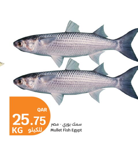 available at سيتي هايبرماركت in قطر - الوكرة