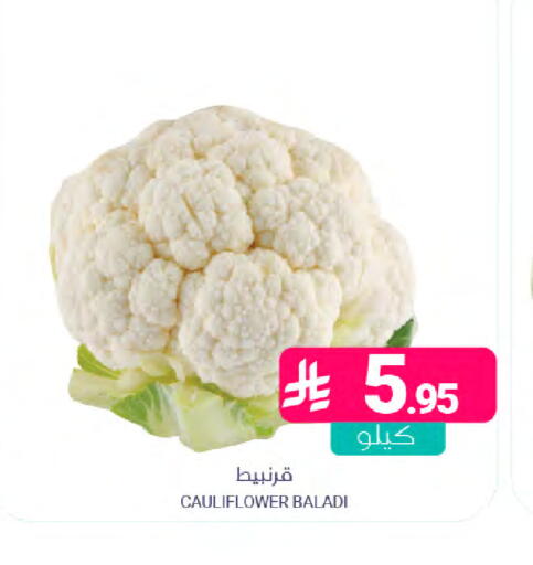 Cauliflower available at Muntazah Markets in KSA, Saudi Arabia, Saudi - Saihat