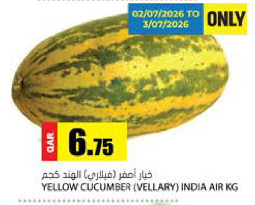 Cucumber from India available at جراند هايبرماركت in قطر - الضعاين