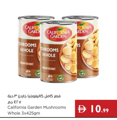 available at إسطنبول سوبرماركت in الإمارات العربية المتحدة , الامارات - ٱلْعَيْن‎