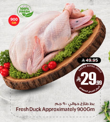 available at نستو in مملكة العربية السعودية, السعودية, سعودية - الرياض