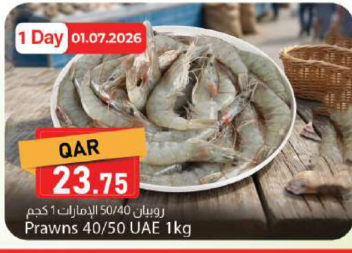 available at دانا ماركت in قطر - أم صلال