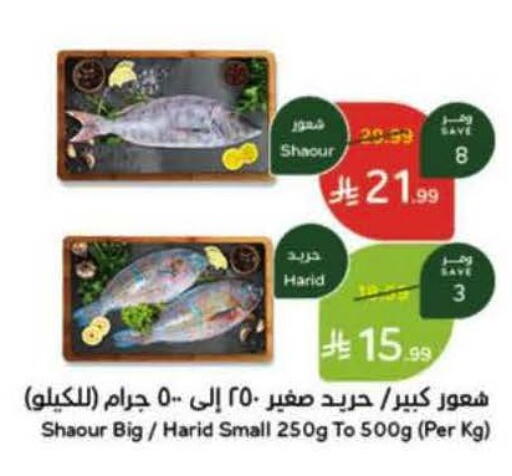 available at Hyper Panda in KSA, Saudi Arabia, Saudi - Hafar Al Batin