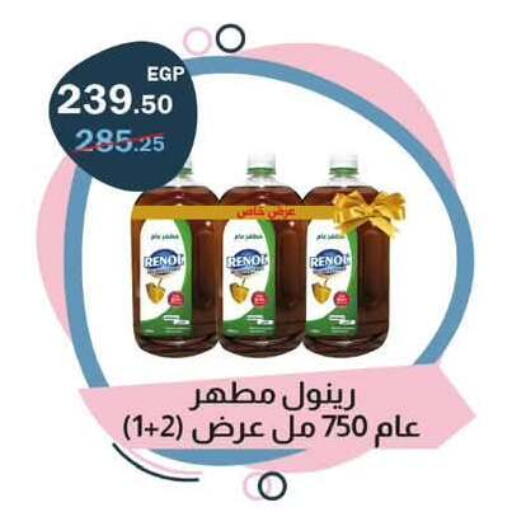 available at Flamingo Hyper Market in Egypt - Cairo