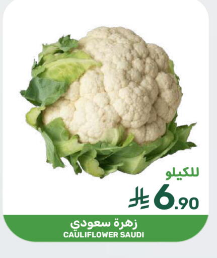 Cauliflower from Saudi Arabia available at  مـزايــا in مملكة العربية السعودية, السعودية, سعودية - سيهات