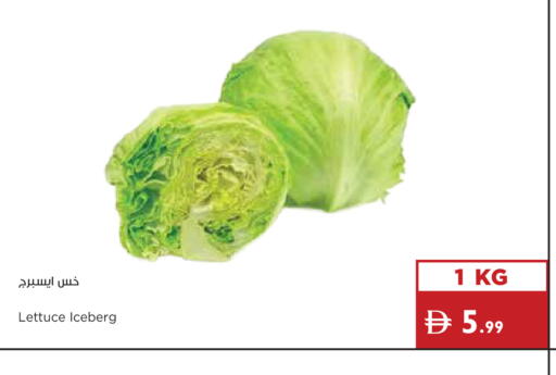Lettuce available at إسطنبول سوبرماركت in الإمارات العربية المتحدة , الامارات - ٱلْعَيْن‎