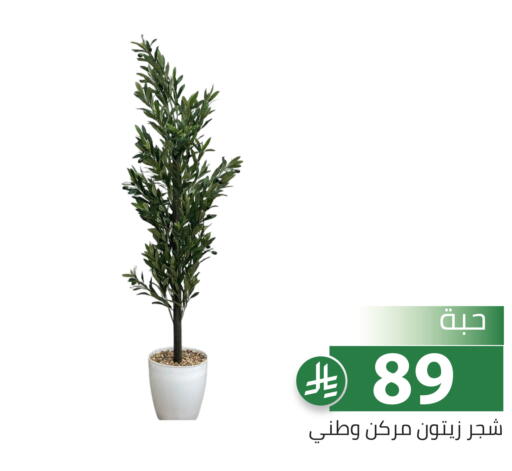 available at Family Discount in KSA, Saudi Arabia, Saudi - Riyadh