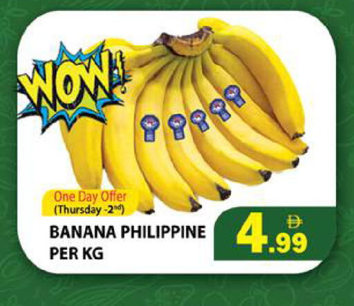 Banana from Philippines available at Gulf Hypermarket LLC in UAE - Ras al Khaimah