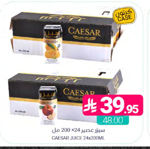 available at Muntazah Markets in KSA, Saudi Arabia, Saudi - Saihat