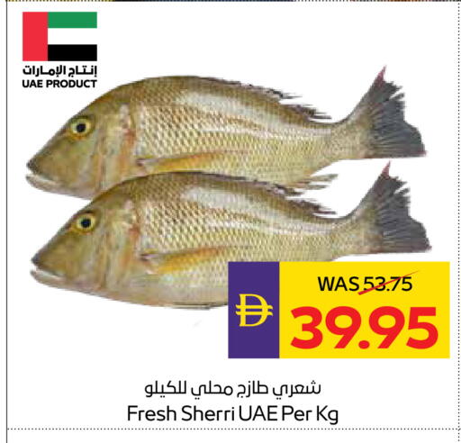available at أدكووب in الإمارات العربية المتحدة , الامارات - رَأْس ٱلْخَيْمَة
