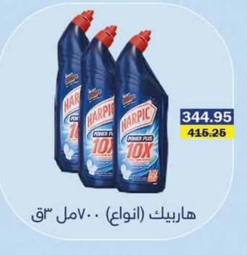 available at Flamingo Hyper Market in Egypt - Cairo