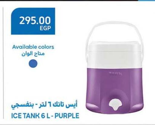 available at الرايه  ماركت in Egypt - القاهرة