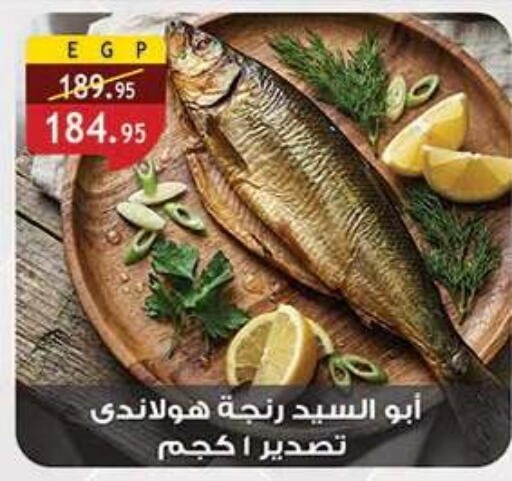 available at الرايه  ماركت in Egypt - القاهرة