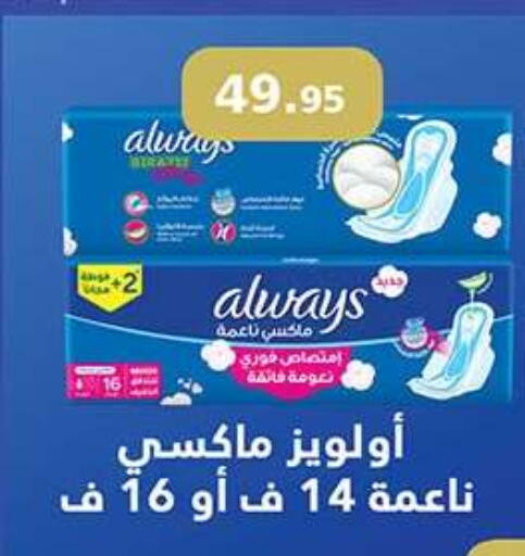 available at الرايه  ماركت in Egypt - القاهرة