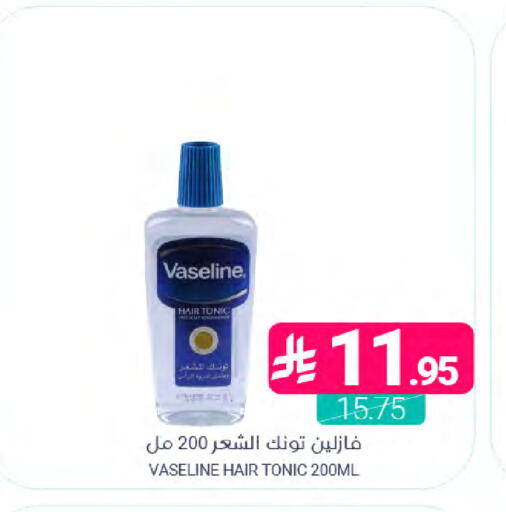 available at Muntazah Markets in KSA, Saudi Arabia, Saudi - Saihat