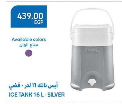 available at الرايه  ماركت in Egypt - القاهرة
