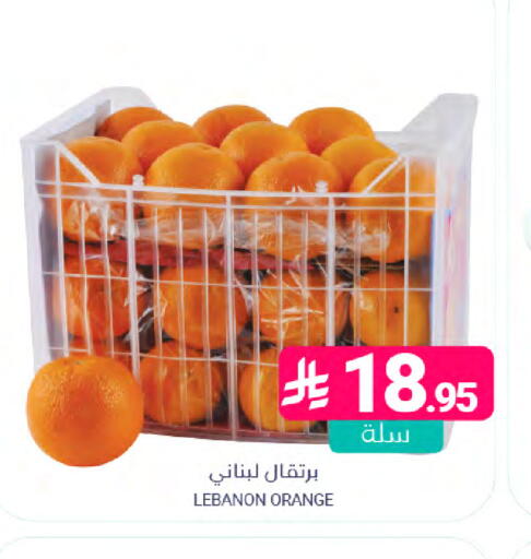 Orange from Lebanon available at Muntazah Markets in KSA, Saudi Arabia, Saudi - Saihat