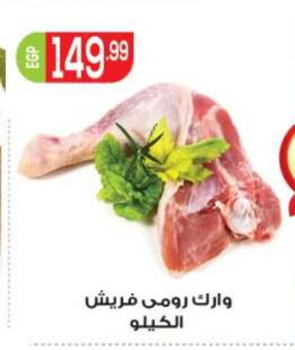 available at أولاد المحاوى in Egypt - القاهرة