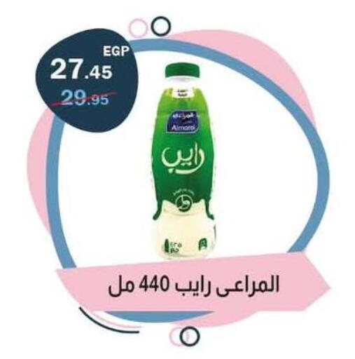 available at Flamingo Hyper Market in Egypt - Cairo