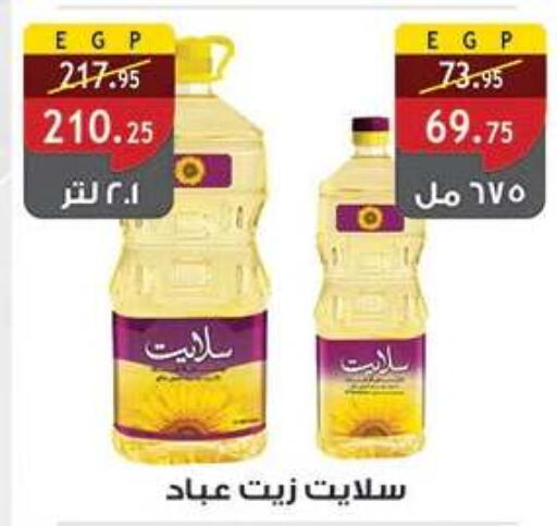 available at الرايه  ماركت in Egypt - القاهرة