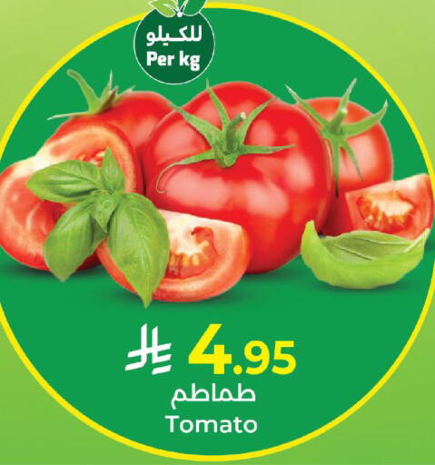 Tomato available at Kabayan Hypermarket in KSA, Saudi Arabia, Saudi - Yanbu