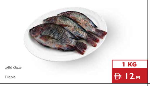 available at إسطنبول سوبرماركت in الإمارات العربية المتحدة , الامارات - ٱلْعَيْن‎