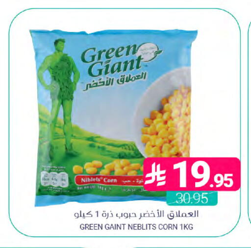 available at اسواق المنتزه in مملكة العربية السعودية, السعودية, سعودية - سيهات