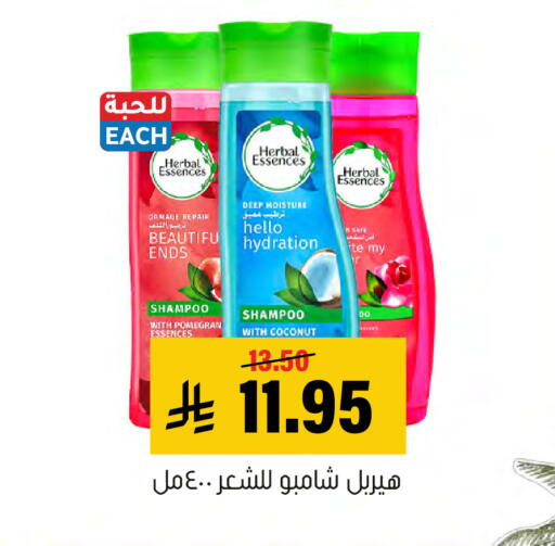 Coconut available at Al Amer Market in KSA, Saudi Arabia, Saudi - Al Hasa