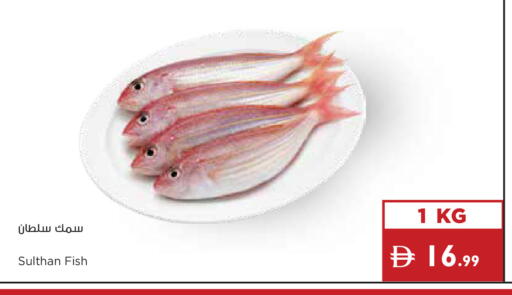 available at إسطنبول سوبرماركت in الإمارات العربية المتحدة , الامارات - ٱلْعَيْن‎