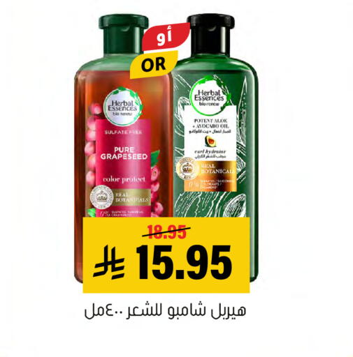 Avocado available at Al Amer Market in KSA, Saudi Arabia, Saudi - Al Hasa