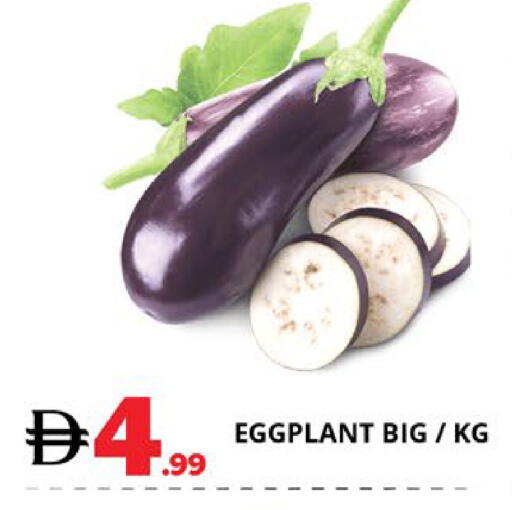 Eggplant available at EXPRESS AL MADEENA HYPERMARKET LLC in UAE - Abu Dhabi