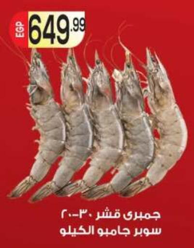 available at أولاد المحاوى in Egypt - القاهرة