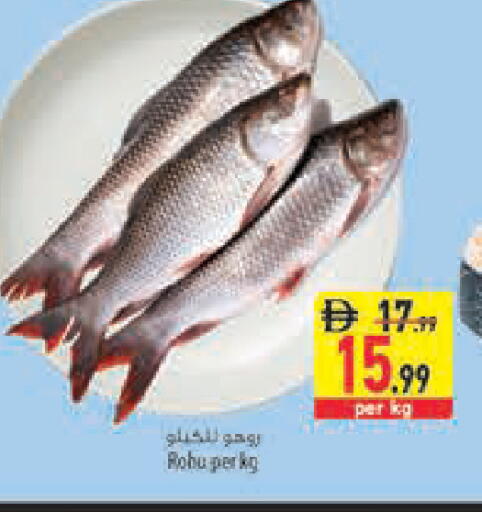 available at Safeer Market in UAE - Fujairah