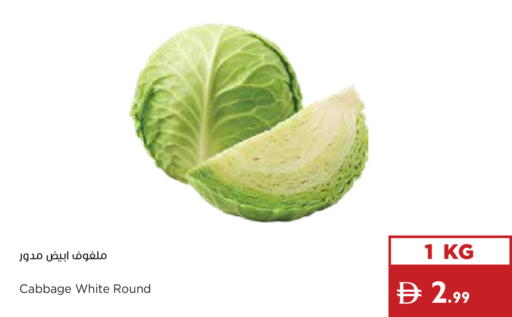 Cabbage available at إسطنبول سوبرماركت in الإمارات العربية المتحدة , الامارات - ٱلْعَيْن‎