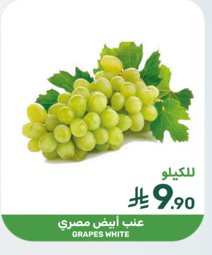 Grapes available at Mazaya in KSA, Saudi Arabia, Saudi - Qatif