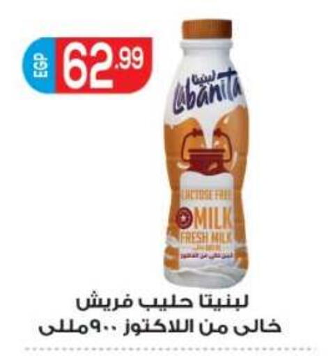 available at El mhallawy Sons in Egypt - Cairo