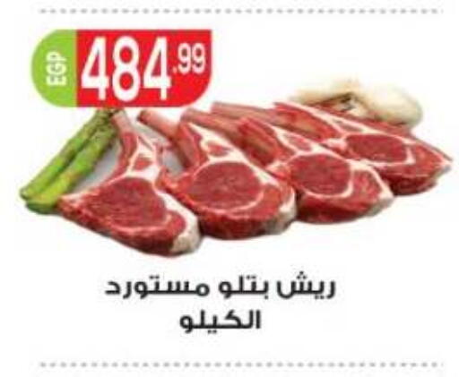 available at أولاد المحاوى in Egypt - القاهرة