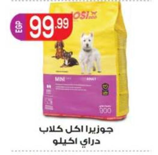 available at أولاد المحاوى in Egypt - القاهرة