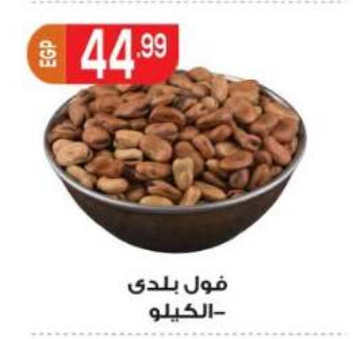 available at أولاد المحاوى in Egypt - القاهرة