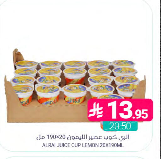 Lemon available at Muntazah Markets in KSA, Saudi Arabia, Saudi - Saihat