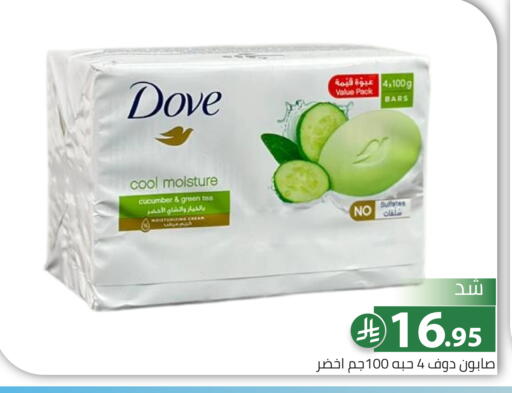 Cucumber available at Family Discount in KSA, Saudi Arabia, Saudi - Riyadh