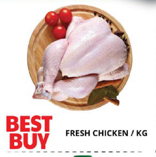 available at EXPRESS AL MADEENA HYPERMARKET LLC in UAE - Abu Dhabi