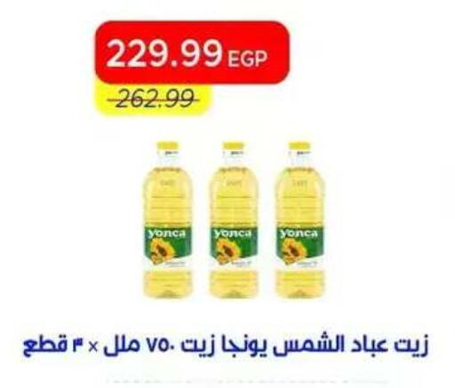 available at Metro Market  in Egypt - Cairo
