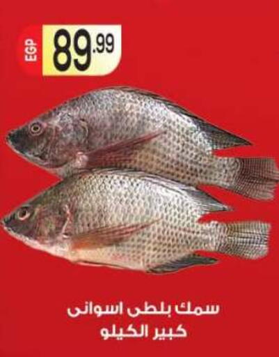 available at أولاد المحاوى in Egypt - القاهرة